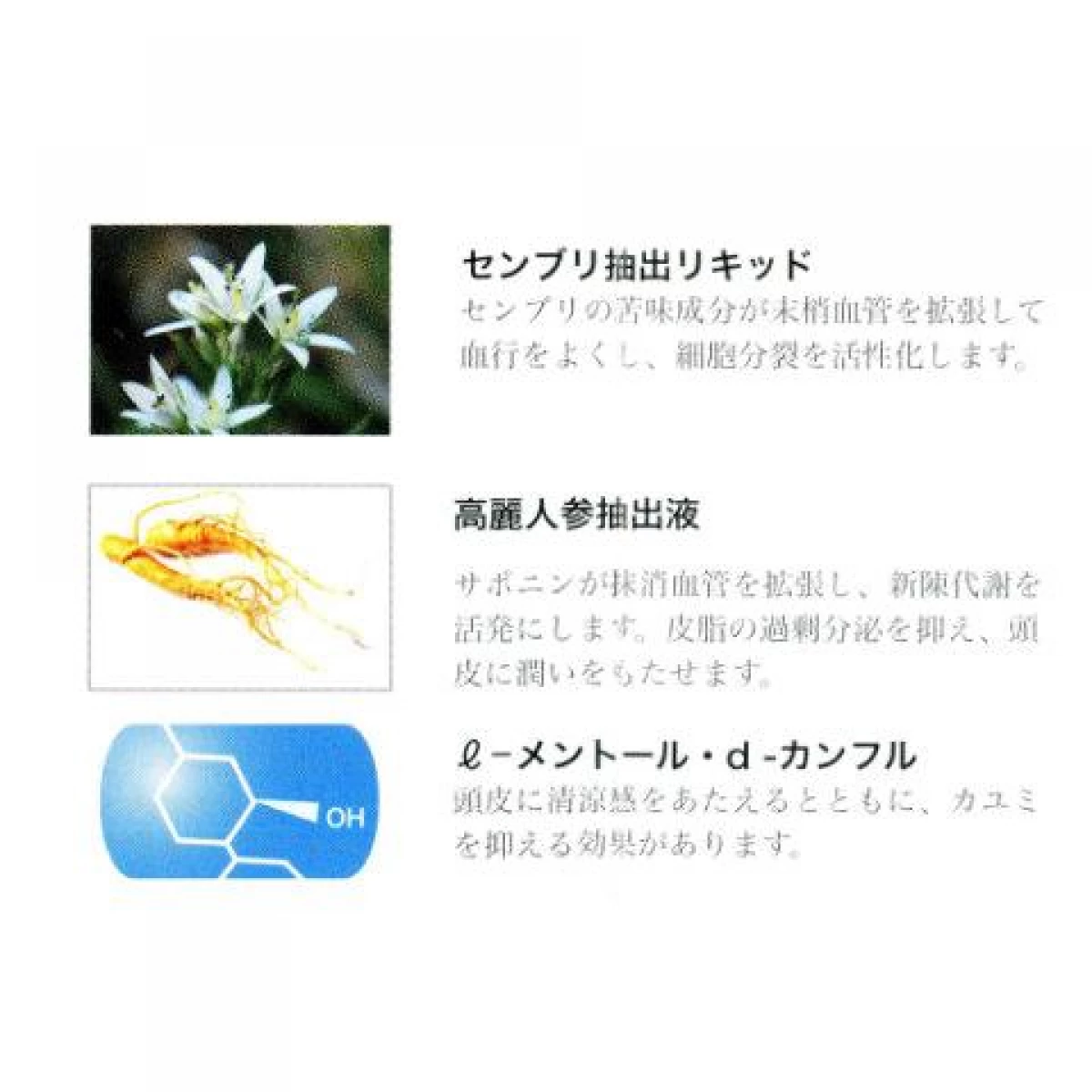 発毛促進剤薬用トレトマンパルフェ 180ml 【医薬部外品】 - Netshop Beauty